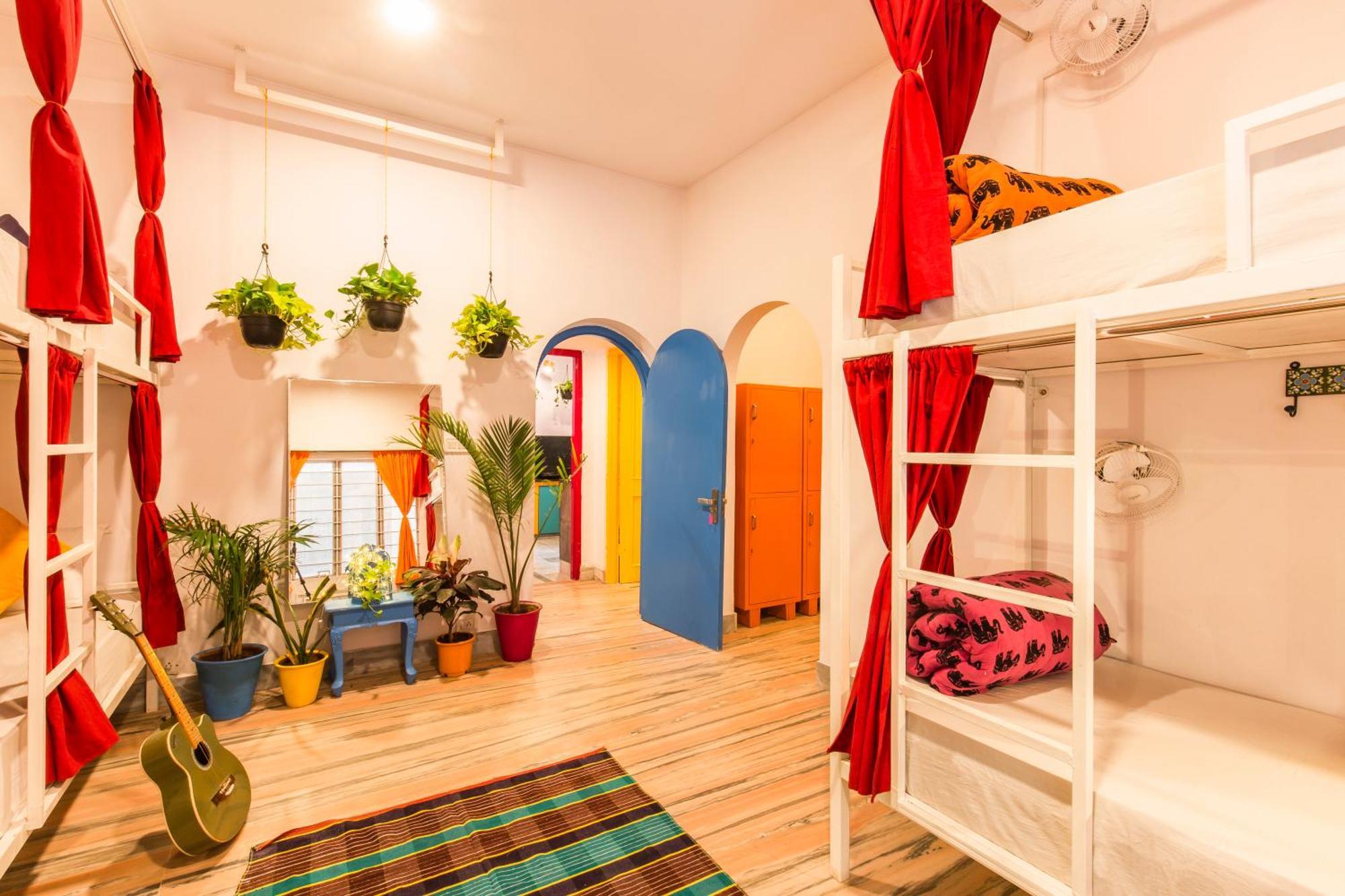 Bed in 6 Bed Mixed Dormitory Room with Ensuite Bathroom