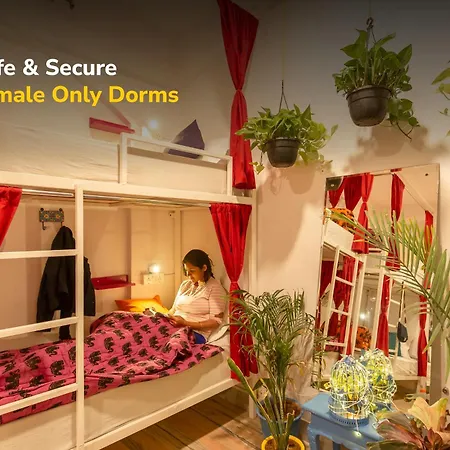 Gostops Lite Jaipur-3